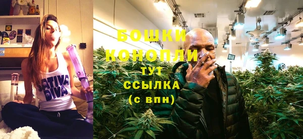 бошки Алексин