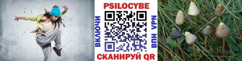 Псилоцибиновые грибы мицелий  Белоозёрский 
