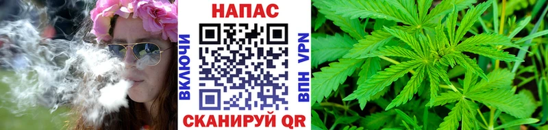 купить   Белоозёрский  Каннабис конопля 